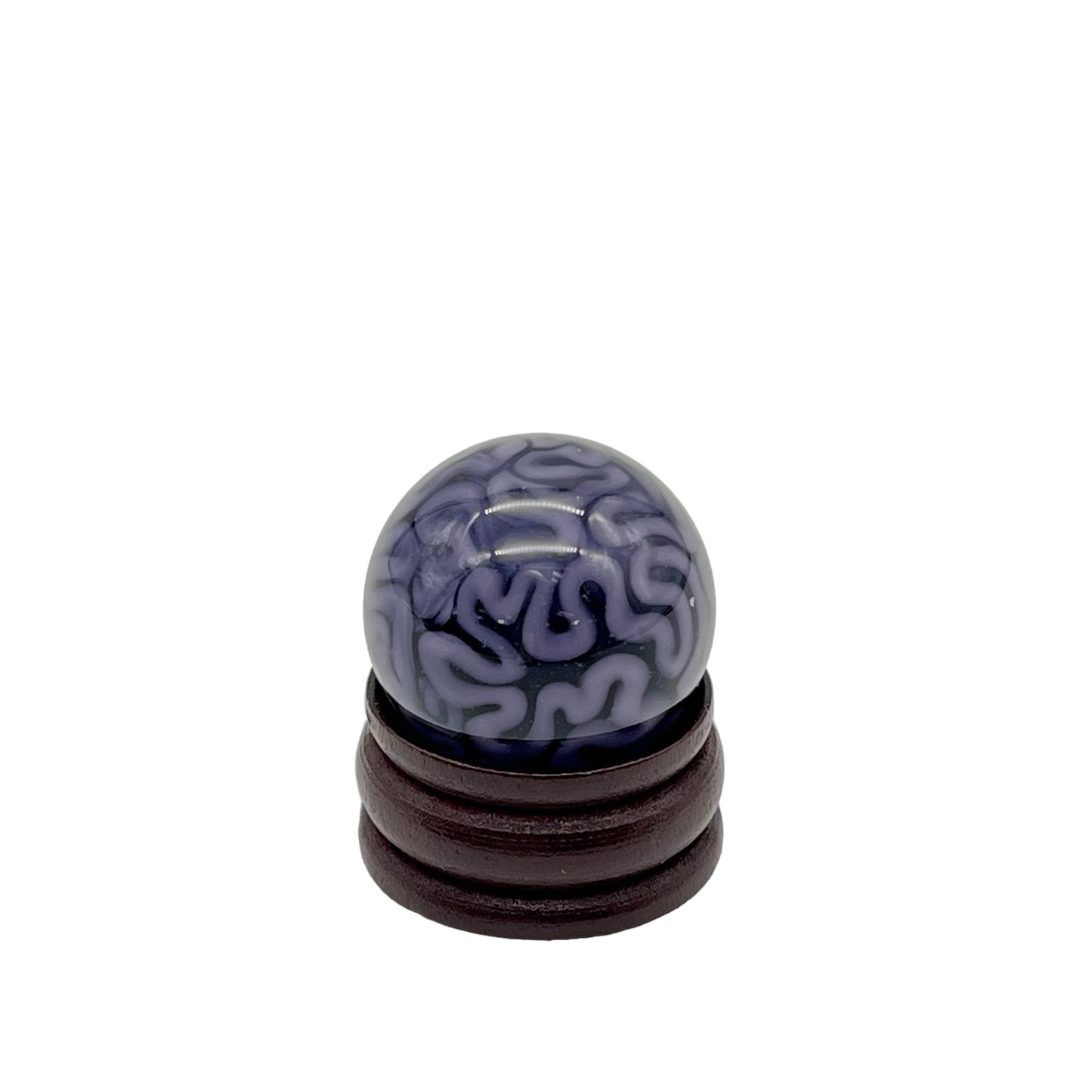 Algae Glass Brain Tech Marble
