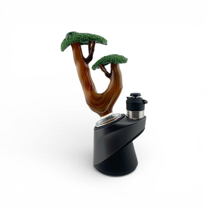 Stoney Chicken Bonsai Peak Attachment (Dry)
