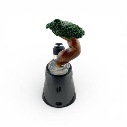 Stoney Chicken Bonsai Peak Attachment (Dry)