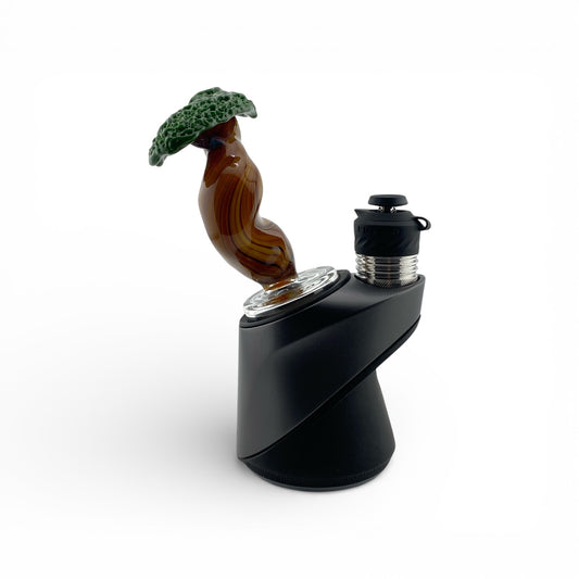 Stoney Chicken Bonsai Peak Attachment (Dry)