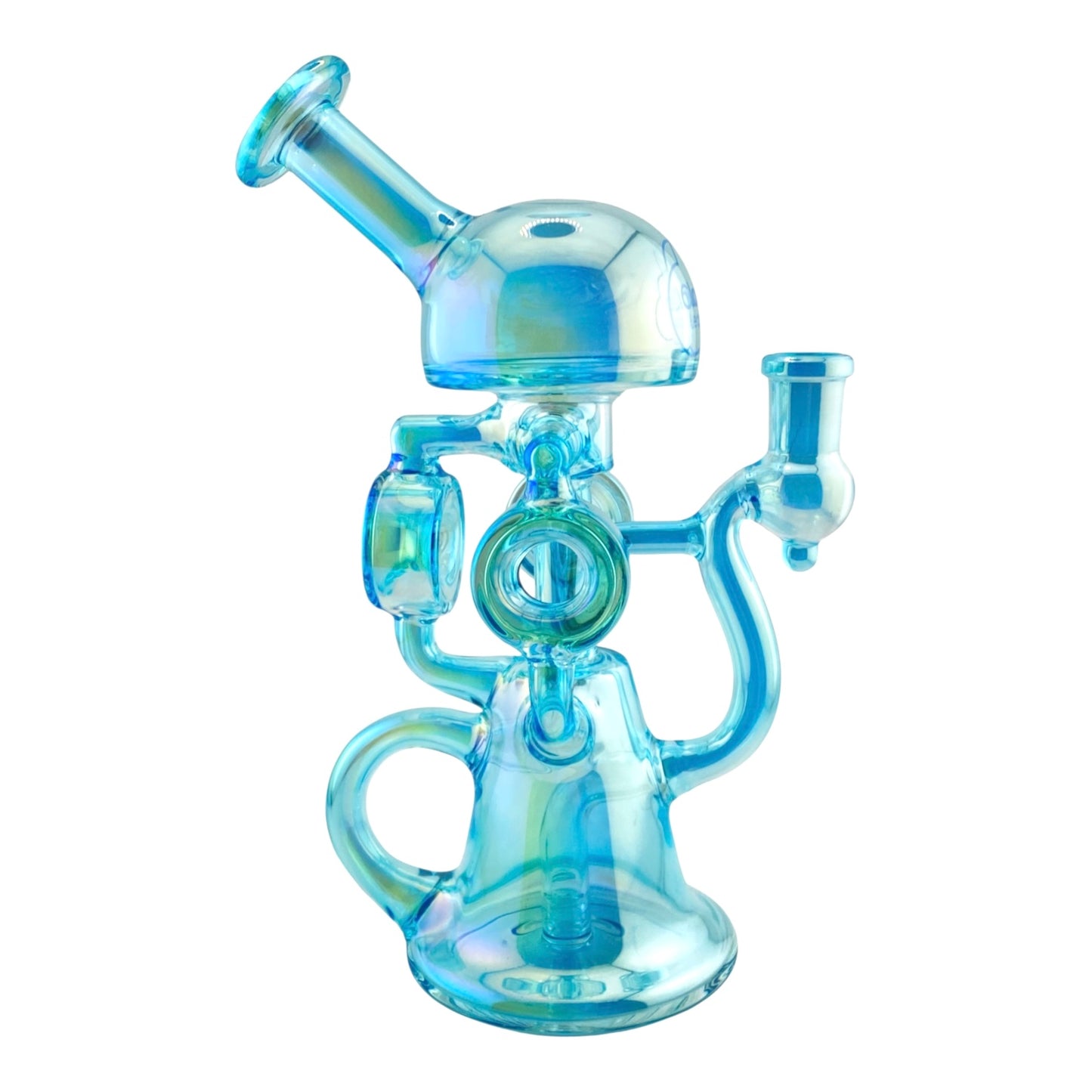 Clouded Leopard Recycler
